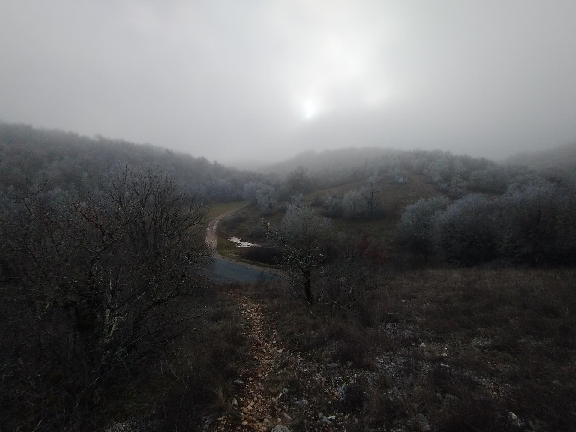 Un jour d'hiver brumeux. Le soleil perce à peine sur la vallée glacée. Au milieu de l'image, une route coupant un sentier de marche peut être aperçue à travers les arbres gêlés.