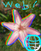 logo du site. une fleur de lys rose.